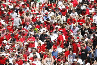 乐鱼体育官网下载-体育焦点人物采访独家发布,焦点访谈体育